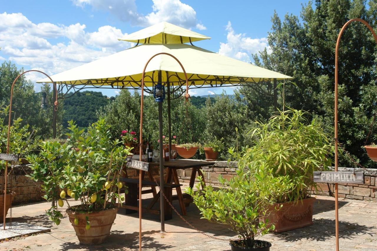 Primula Apartment Poggibonsi Bagian luar foto