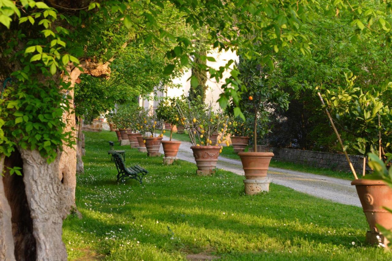Primula Apartment Poggibonsi Bagian luar foto